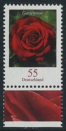 BUND 2008 Michel-Nummer 2669 postfrisch EINZELMARKE RAND unten (a)