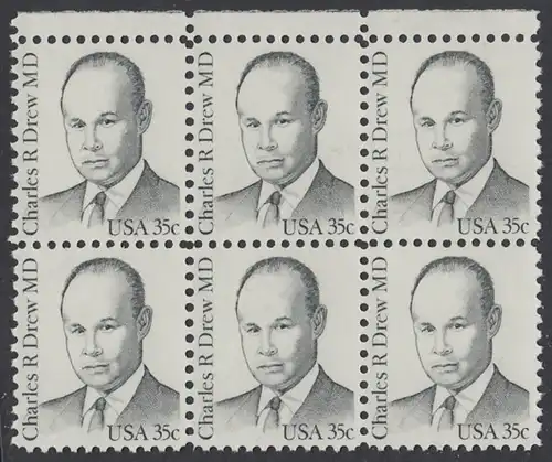 USA Michel 1490 / Scott 1865 postfrisch horiz.BLOCK(6) RÄNDER oben - Amerikanische Persönlichkeiten: Charles R. Drew (1904-1950), Arzt