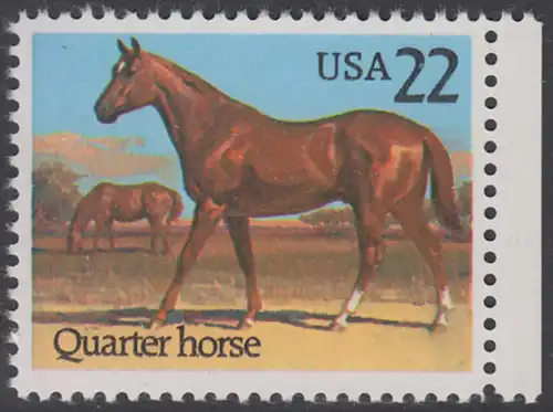 USA Michel 1767 / Scott 2155 postfrisch EINZELMARKE RAND rechts - Pferde: Quarter Horse