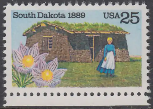 USA Michel 2041 / Scott 2416 postfrisch EINZELMARKE RAND unten - 100 Jahre Staat South Dakota: Pionierfrau vor Grassodenhaus