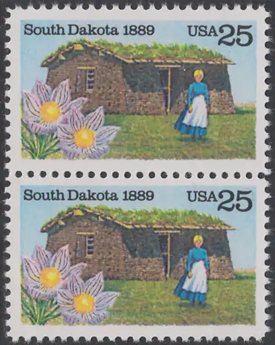 USA Michel 2041 / Scott 2416 postfrisch vert.PAAR - 100 Jahre Staat South Dakota: Pionierfrau vor Grassodenhaus