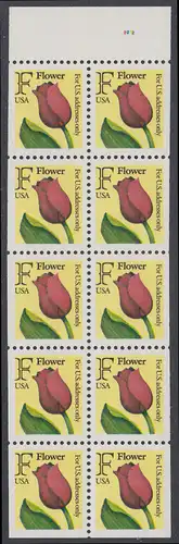 USA Michel 2116D / Scott 2519a postfrisch Markenheftchenblatt(10) m/ Platten-# - Tulpe