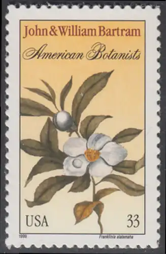 USA Michel 3122 / Scott 3314 postfrisch EINZELMARKE - John (1699-1777) und William (1739 bis 1823) Bartram, Botaniker; Teestrauchgewächs 
