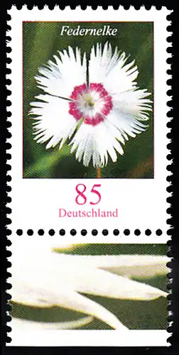 BUND 2014 Michel-Nummer 3116 postfrisch EINZELMARKE RAND unten (c)