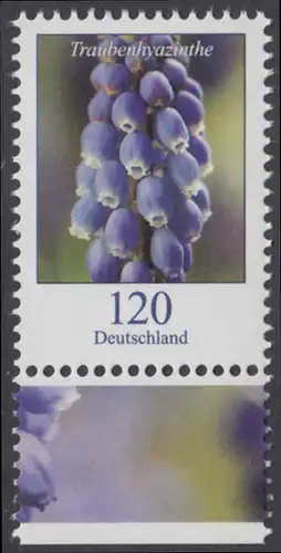 BUND 2019 Michel-Nummer 3447 postfrisch EINZELMARKE RAND unten (c)