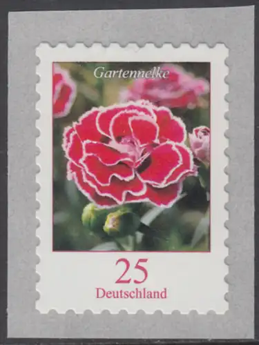 BUND 2008 Michel-Nummer 2699 postfrisch EINZELMARKE (Rollenmarke / selbstklebend)