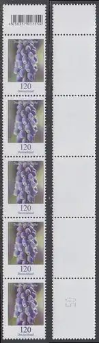 BUND 2019 Michel-Nummer 3447 postfrisch vert.STRIP(5) RAND oben m/ rücks.Nr. (50) -ROLLENMARKEN-