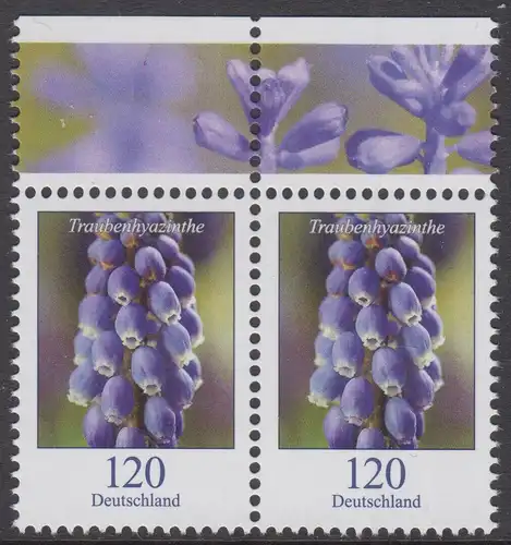 BUND 2019 Michel-Nummer 3447 postfrisch horiz.PAAR RÄNDER oben (a)