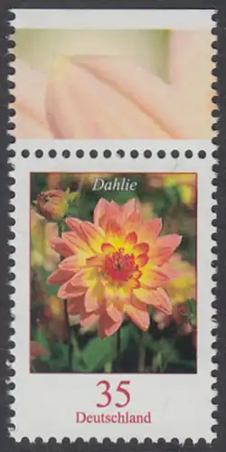 BUND 2006 Michel-Nummer 2505 postfrisch EINZELMARKE RAND oben (a)