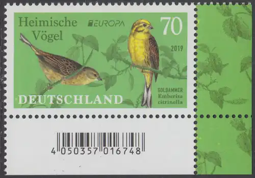 BUND 2019 Michel-Nummer 3463 postfrisch EINZELMARKE ECKRAND unten rechts 