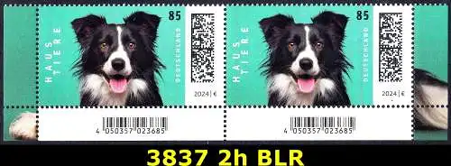 BUND 2024 Michel-# 3837 postfrisch horiz.PAAR ECKRÄNDER unten rechts/links