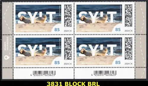 BUND 2024 Michel-# 3831 postfrisch BLOCK ECKRÄNDER unten rechts/links