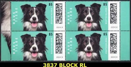 BUND 2024 Michel-# 3837 postfrisch BLOCK RÄNDER rechts/links