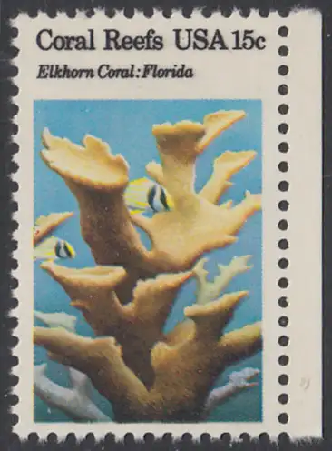USA Michel 1435 / Scott 1828 postfrisch EINZELMARKE RAND rechts  - Korallen (Acropora palmata)