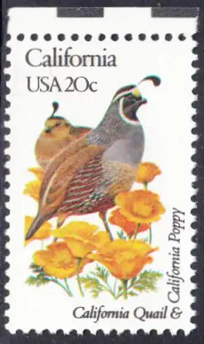 USA Michel 1536 / Scott 1957 postfrisch EINZELMARKE RAND oben (a2) - Vögel und Blumen der 50 Bundesstaaten: California: Spottdrossel/Goldmohn