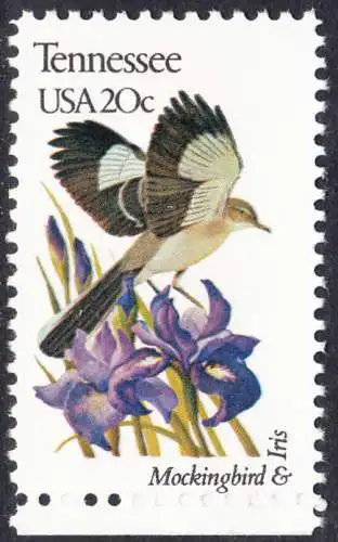 USA Michel 1573 / Scott 1994 postfrisch EINZELMARKE RAND unten (a1) - Vögel und Blumen der 50 Bundesstaaten: Tennessee: Spottdrossel/Purpurne Schwertlilie