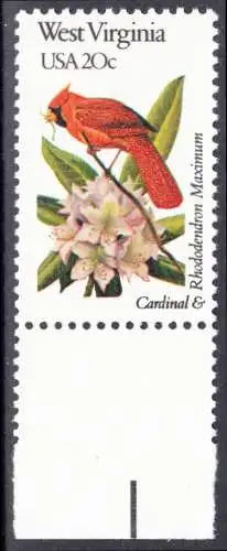 USA Michel 1579 / Scott 2000 postfrisch EINZELMARKE RAND unten (a2) - Vögel und Blumen der 50 Bundesstaaten: West Virginia: Roter Kardinal/Rhododendron maximum