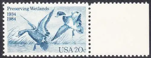 USA Michel 1701 / Scott 2092 postfrisch EINZELMARKE RAND rechts (a2) - 50 Jahre Zugvogel-Jagd- und Schutzgesetz: Stockente