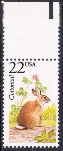USA Michel 1887 / Scott 2290 postfrisch EINZELMARKE RAND oben - Nordamerikanische Fauna: Florida-Waldkaninchen