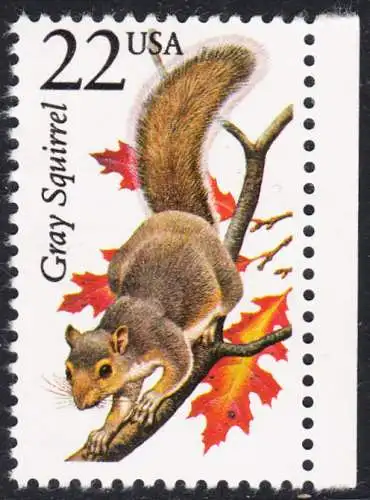 USA Michel 1892 / Scott 2295 postfrisch EINZELMARKE RAND rechts - Nordamerikanische Fauna: Grauhörnchen