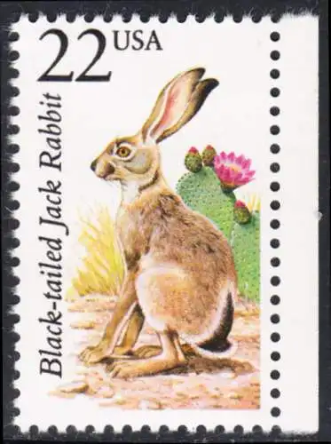 USA Michel 1902 / Scott 2305 postfrisch EINZELMARKE RAND rechts (a1) - Nordamerikanische Fauna: Kalifornischer Eselhase