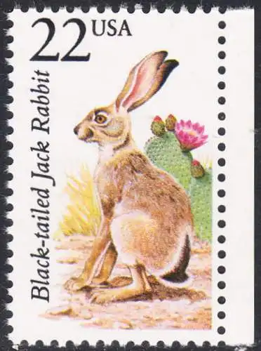 USA Michel 1902 / Scott 2305 postfrisch EINZELMARKE RAND rechts (a2) - Nordamerikanische Fauna: Kalifornischer Eselhase