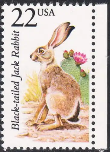 USA Michel 1902 / Scott 2305 postfrisch EINZELMARKE RAND rechts (a3) - Nordamerikanische Fauna: Kalifornischer Eselhase