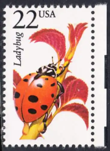 USA Michel 1912 / Scott 2315 postfrisch EINZELMARKE RAND rechts (a1) - Nordamerikanische Fauna: Marienkäfer