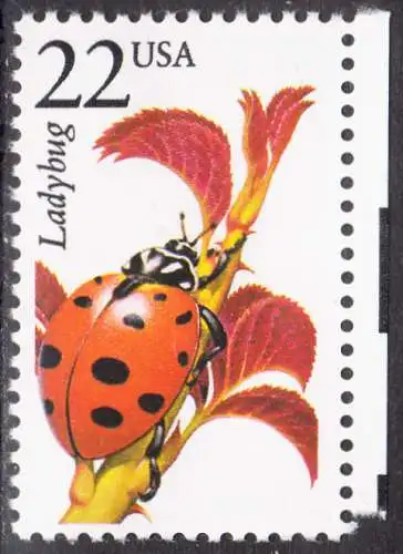 USA Michel 1912 / Scott 2315 postfrisch EINZELMARKE RAND rechts (a2) - Nordamerikanische Fauna: Marienkäfer