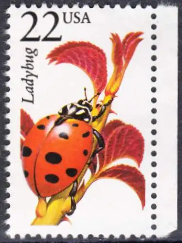 USA Michel 1912 / Scott 2315 postfrisch EINZELMARKE RAND rechts (a3) - Nordamerikanische Fauna: Marienkäfer