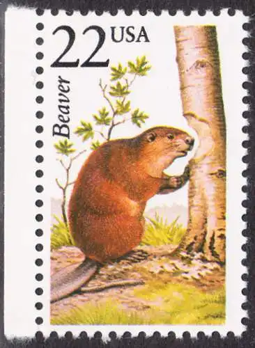 USA Michel 1913 / Scott 2316 postfrisch EINZELMARKE RAND links (a1) - Nordamerikanische Fauna: Kanadischer Biber