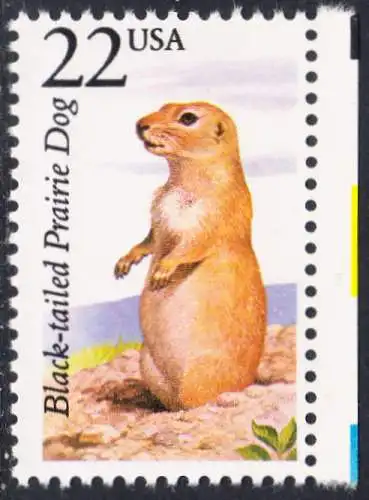 USA Michel 1922 / Scott 2325 postfrisch EINZELMARKE RAND rechts (a1) - Nordamerikanische Fauna: Schwarzschwanz-Präriehund