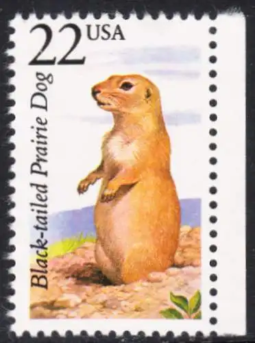 USA Michel 1922 / Scott 2325 postfrisch EINZELMARKE RAND rechts (a3) - Nordamerikanische Fauna: Schwarzschwanz-Präriehund
