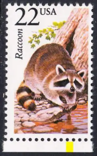 USA Michel 1928 / Scott 2331 postfrisch EINZELMARKE RAND unten (a1) - Nordamerikanische Fauna: Nordamerikanischer Waschbär 