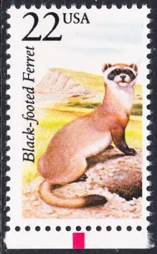 USA Michel 1930 / Scott 2333 postfrisch EINZELMARKE RAND unten (a1) - Nordamerikanische Fauna: Schwarzfußiltis