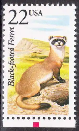 USA Michel 1930 / Scott 2333 postfrisch EINZELMARKE RAND unten (a2) - Nordamerikanische Fauna: Schwarzfußiltis