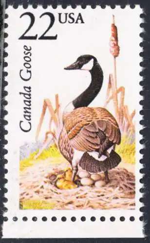 USA Michel 1931 / Scott 2334 postfrisch EINZELMARKE RAND unten (a1) - Nordamerikanische Fauna: Kanada-Gans