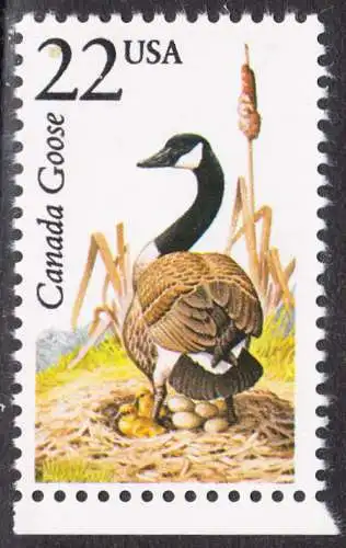 USA Michel 1931 / Scott 2334 postfrisch EINZELMARKE RAND unten (a2) - Nordamerikanische Fauna: Kanada-Gans