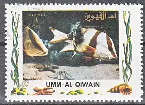 hc000.982 - Umm al Kaiwain Mi.Nr. 1313A o