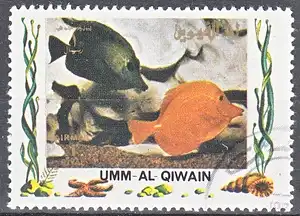 hc000.985 - Umm al Kaiwain Mi.Nr. 1316A o