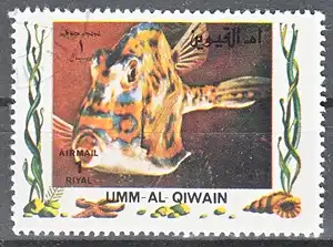 hc000.990 - Umm al Kaiwain Mi.Nr. 1321A o