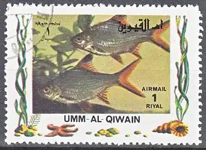 hc000.997 - Umm al Kaiwain Mi.Nr. 1473A o