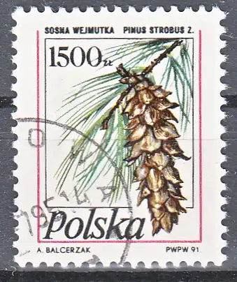 hc001.033 - Polen Mi.Nr. 3313 o