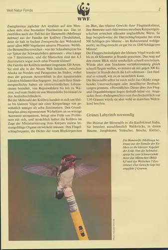 WWF Kuba Karibik 3589-3592 Die Bienenelfe kpl. Kapitel bestehend