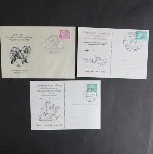 Briefe und Karten Sammlung Motiv Hunde DDR mit inter. Vielfalt 7 Stück dabei