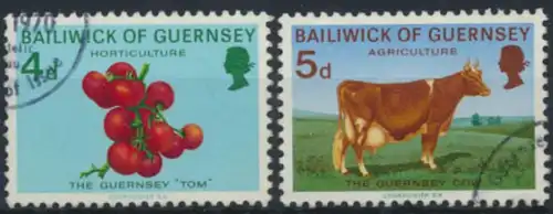 Guernsey 31-34 Heimische Landwirtschaft gestempelt 1970