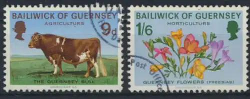 Guernsey 31-34 Heimische Landwirtschaft gestempelt 1970