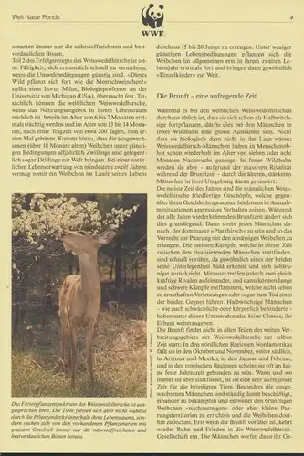 WWF Niederländische Antillen 739-742 Weisswedelhirsch kpl. Kapitel bestehend