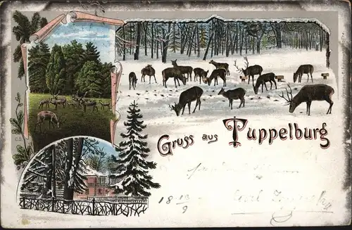 Ansichtskarte Tuppelburg Litho bei Teplitz Zámek Dvojhradí Tschechien Tiere Wild