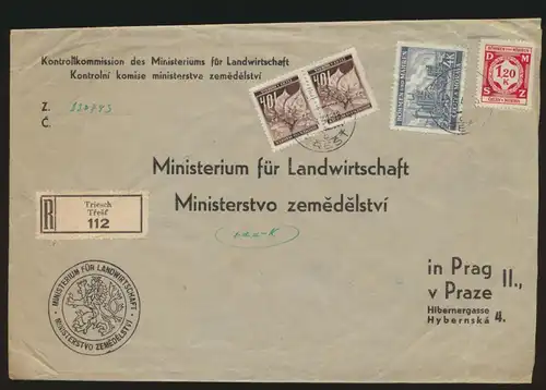 Besetzung Böhmen & Mähren R Brief MIF 4 K + Dienst 1,20 K + Paar Triesch Prag